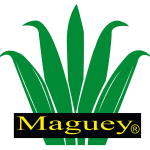 maguey